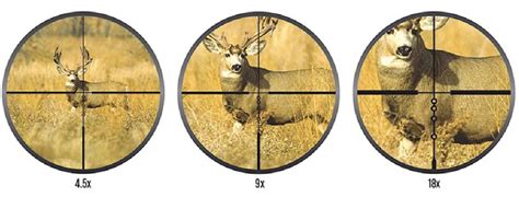 How To Select A Rifle Scope Sportsmans Warehouse