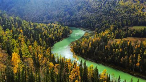 Download River Flow Aerial View Green Forest 1366x768 Wallpaper