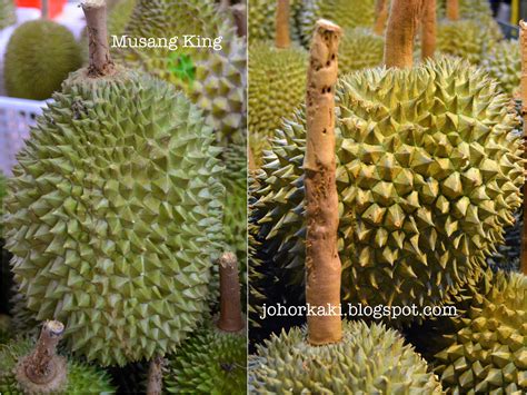 Durian musang king memiliki keistimewaan daging buah berwarna kuning, daging buah kering, lembut, tidak berserat dan rasa manis kombinasi pahit, tekstur lembut, aroma kuat, dan biji kecil. 5 Tips Untuk Mengenalpasti Buah Durian Musang King Rajah ...