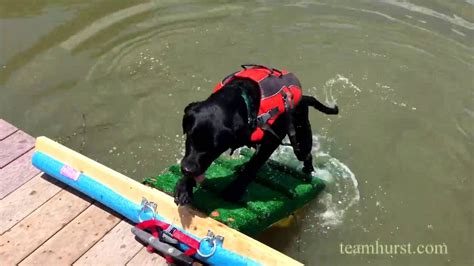 Dog ramp made out of industrial mat and pool noodles. The top 22 Ideas About Diy Dog Pool Ramp - Home Inspiration and Ideas | DIY Crafts | Quotes ...