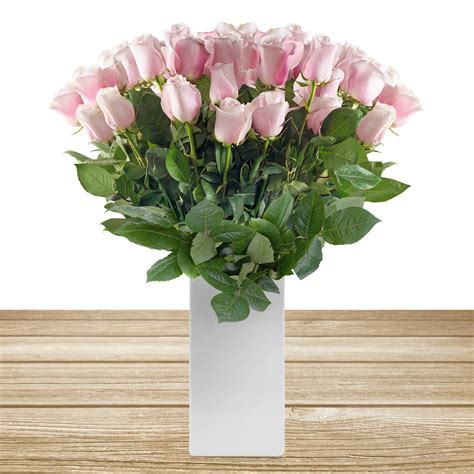 60cm Long Stem Light Pink Roses Ebloomsdirect 2019 2020 Eblooms Farm