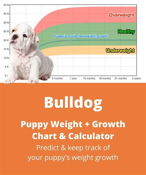 Newborn Puppy Growth Chart