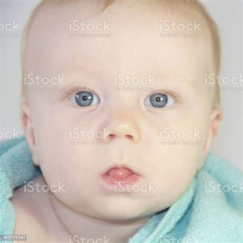 Portrait Of Baby Boy Stock Photo Download Image Now Baby Human