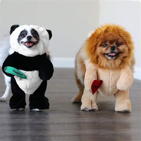 Chow Dog Panda