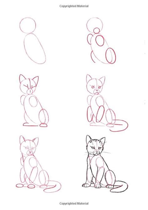 Easy Drawing Step By Step Animals How To Draw Easy Animals Step By