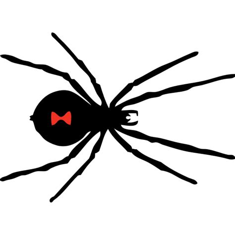 Black Widow Spider Free Svg