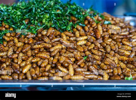 Fried Silk Worms Delicious In Street Food In Thailand They Are Deep