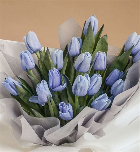 Light Blue Tulips En 2022 Flores Bonitas Flores Tulipanes Ramo De