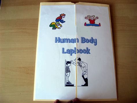 I Put Together A Human Body Lapbook For My 2 Year Old Girl Weve Been