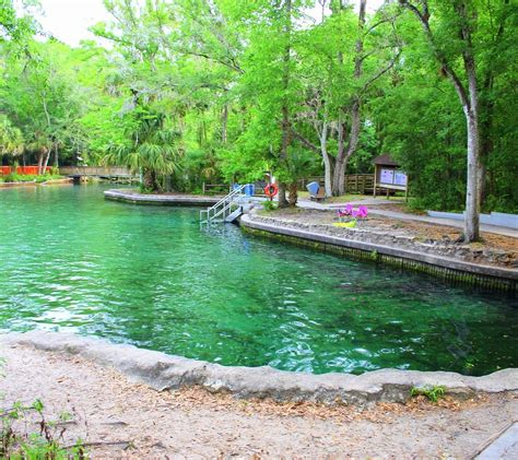 Wekiwa Springs State Park Apopka All You Need To Know Before You Go