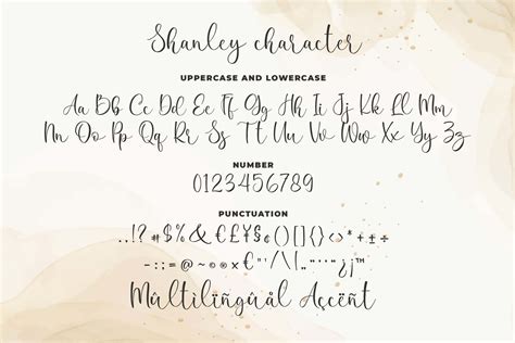 Shanley A Romantic Calligraphy Font 673351 Calligraphy Font Bundles