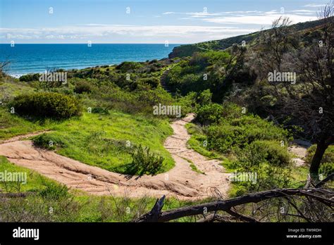 The Iconic Rock Formations And Boardwalk At Sugarloaf Rock Hallett Cove