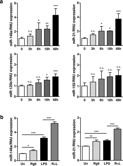 ginsenoside rg6 significantly induces mir 146a expression in bmdms a download scientific