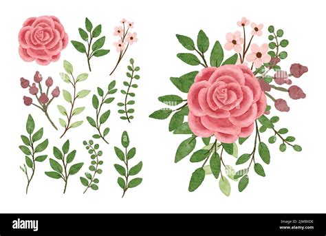 A White Background With A Pink Floral Design Stock Vector Image And Art