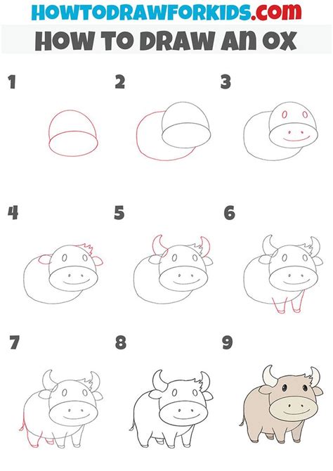 How To Draw An Ox Step By Step In 2022 Cute Easy Drawings Drawing