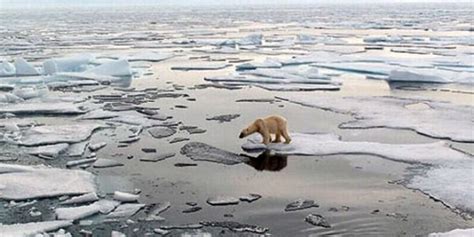 Melting Arctic Shows Severity Of Global Warming Scientists Say Ocean