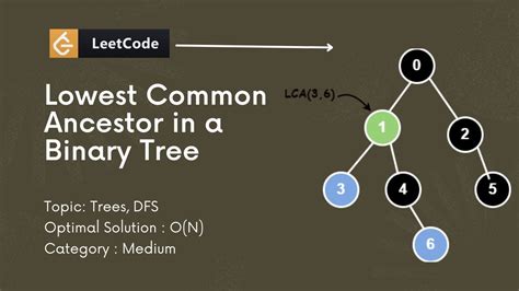 Lowest Common Ancestor Of A Binary Tree Leetcode 236 Youtube