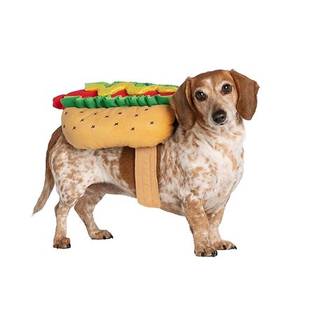 40 Best Dog Halloween Costumes 2021 — Cute Dog Costumes For Halloween