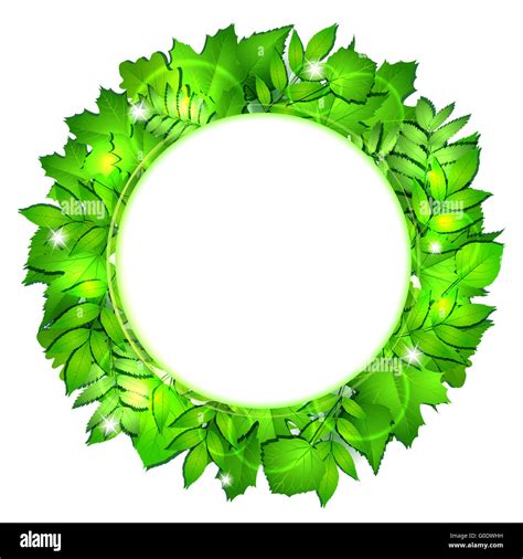 Fresh Green Leaves Vector Border Stock Photo Alamy