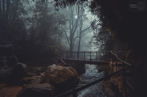 Mysterious Walk Dark Aesthetic Dark Naturalism Forest