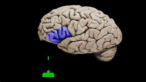 How Video Games Effect Your Brain Brain And Sleep Boost