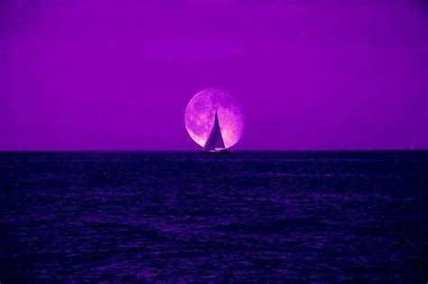 Pin By Pamela Weathington On The Color Purple Beautiful Moon Purple