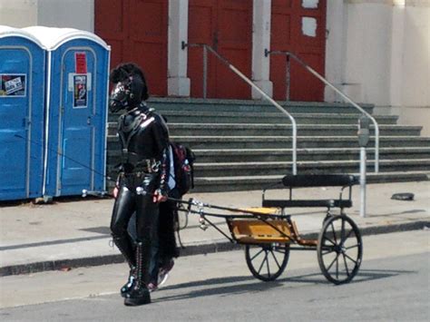 A Bdsm Pony Pulling A Cart Surprisingly Safe For Work Hot Sex Picture