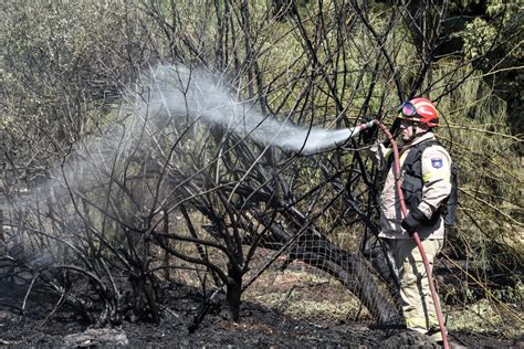 Φωτιά σε χαμηλή βλάστηση στη χασιά, του δήμου φυλής αττικής , κοντά στο γήπεδο του θρασύβουλου , ξεκίνησε νωρίτερα το μεσημέρι της τετάρτης. Φωτιά ΤΩΡΑ στο Μαρούσι