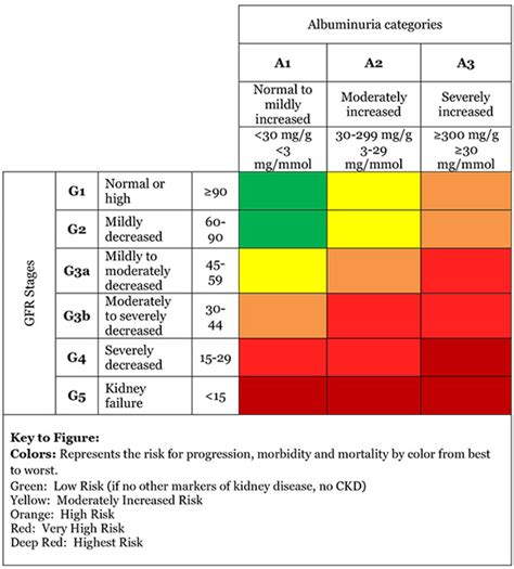 Initially, as renal tissue loses function, there are few noticeable abnormalities because the remaining tissue increases its performance (renal. Chronic kidney disease stages gfr > IAMMRFOSTER.COM