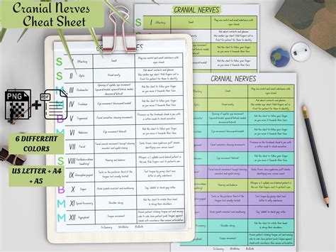 Cranial Nerves Cheat Sheets Study In Nursing