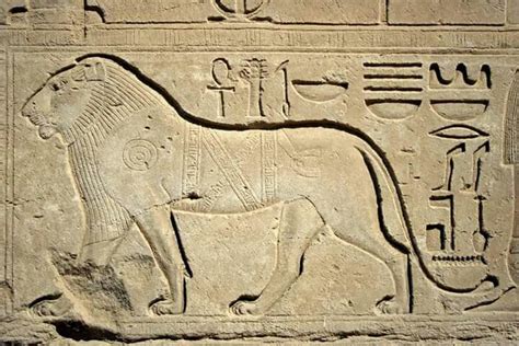 Egyptian Bas Relief Of A Barbary Liontemple Of Amunkarnak Ancient