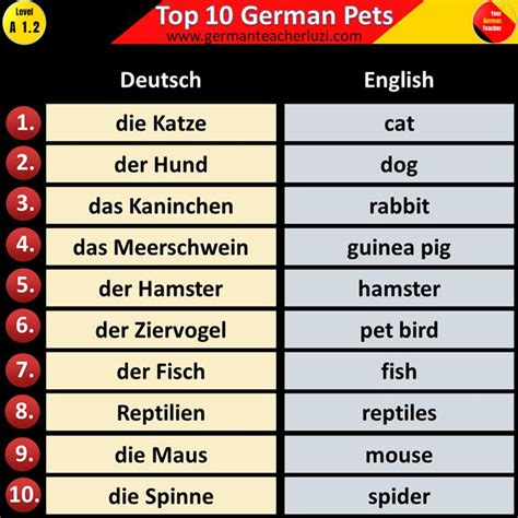 A 1 2 A German Language Learning Hompage Where We Teach You How To