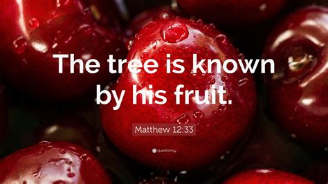 Matthew 1233 Quote “the Tree Is Known By His Fruit”