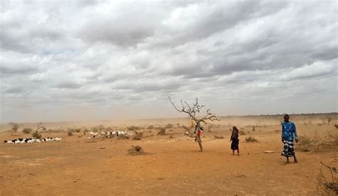 Ethiopia Faces Worst Drought In Years As Millions At Risk The Seattle Times