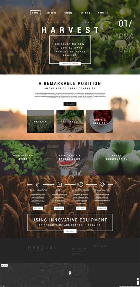Here you can offer to sell fruits these agricultural website templates look amazing and people are encouraged to pay attention. Agriculture Website Templates | Weblium