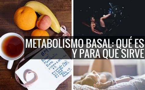 Qué Es El Metabolismo Basal Y Cómo Calcularlo