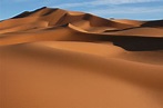 Opportunities and Challenges in the Sahara Desert - Internet Geography