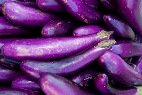 Long Purple Italian Eggplant Seeds Heirloom Hometown Seeds