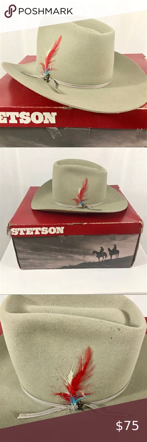 Vintage Stetson 3x Beaver Felt Western Hat Western Hats Feather