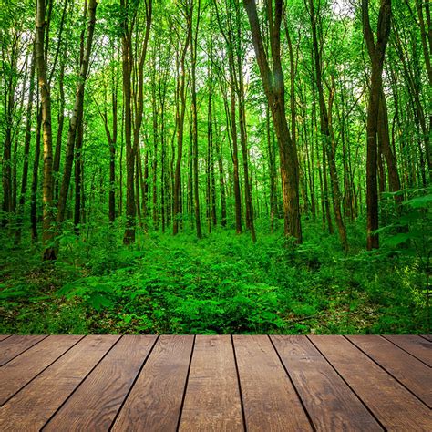 Forest Plank Wood Vinyl Photography Backdrop Photo Studio Background