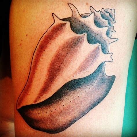 My New Conch Shell By Briana At Buju Tattoo In San Diego Ca 06102014