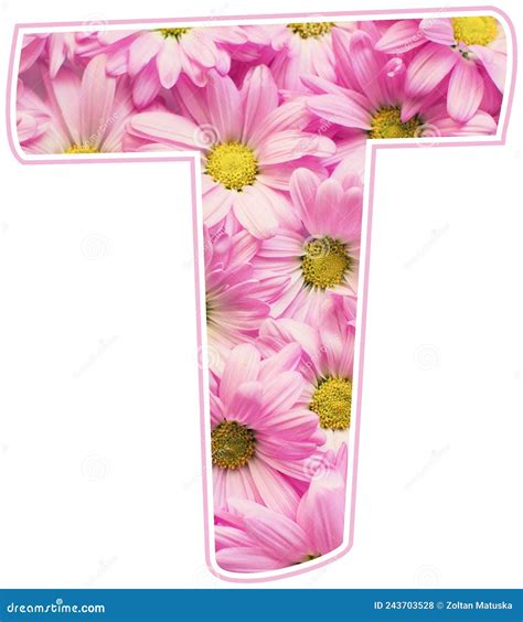 Pink Color Spring Flower Capital Letter T Stock Photo Image Of Spring