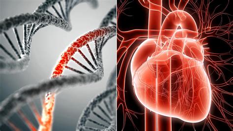 Beat The Heart Attack Gene: the link between your mouth ...