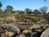 Landscaping Xeriscape Ideas Pictures