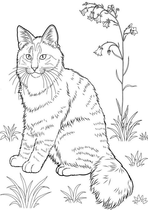 Anime Kitten Coloring Pages Coloring Pages To Downloa