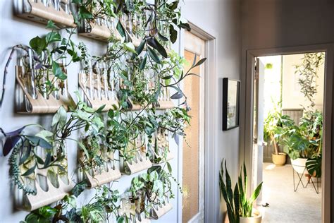 West Elm A Balitmore Home Filled Floor To Ceiling With Plants Modern