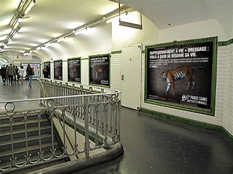 Paris Une Campagne Contre Les Cirques Avec Animaux Dans Le Métro