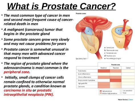 Things You Should Know About Prostate Cancer Techogb
