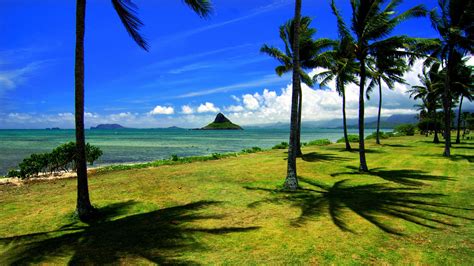 Hawaii Screensavers Wallpaper 56 Images