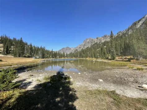 2023 Best 10 Off Road Driving Trails In Cle Elum Alltrails